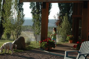 Sage on private Terrace