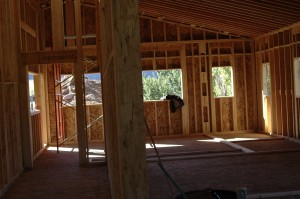 Anton Uhl interior framing