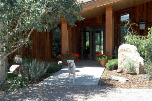 Front Entrance