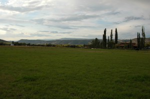 DSC_8932