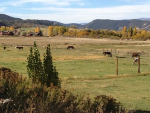 IMG_0069