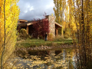 IMG_0142