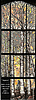 glassaspens.jpg