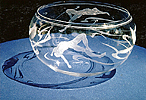 glassswimmers.jpg