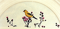 hillbirds4.jpg