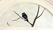 hillbirds5.jpg