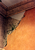 hogancorners4.jpg