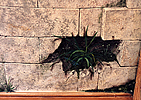 hogandetails3.jpg