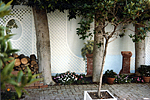 latticegarden2.jpg