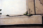 pdcsontedetail.jpg