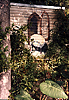 raypillowwindow.jpg